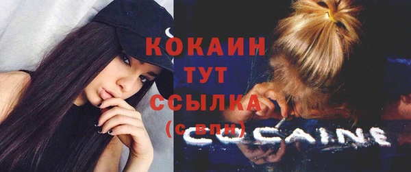 прущие грибы Покровск