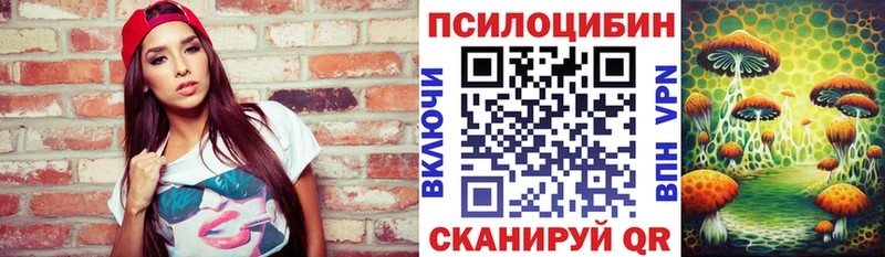 купить наркотик  маркетплейс официальный сайт  Псилоцибиновые грибы прущие грибы  Азнакаево 