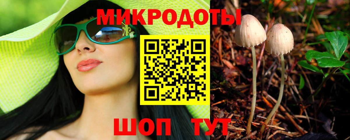 Галлюциногенные грибы Psilocybine cubensis Азнакаево